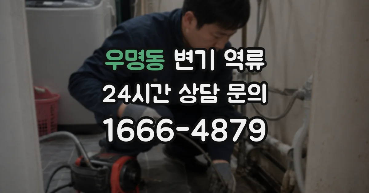 우명동 변기 역류