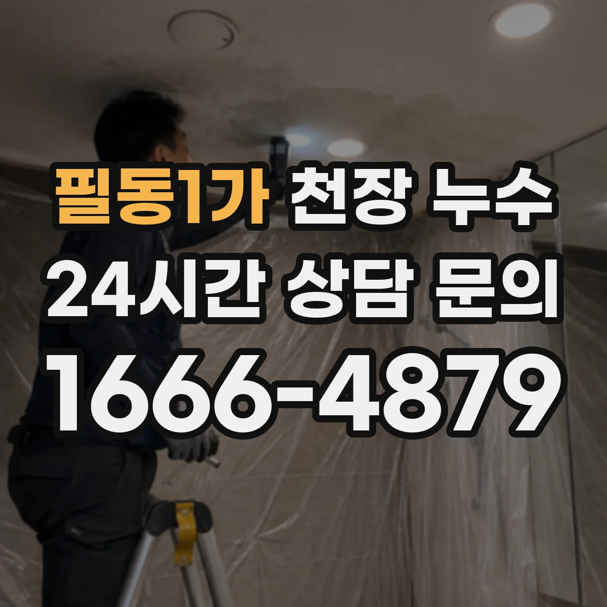 필동1가 천장 누수