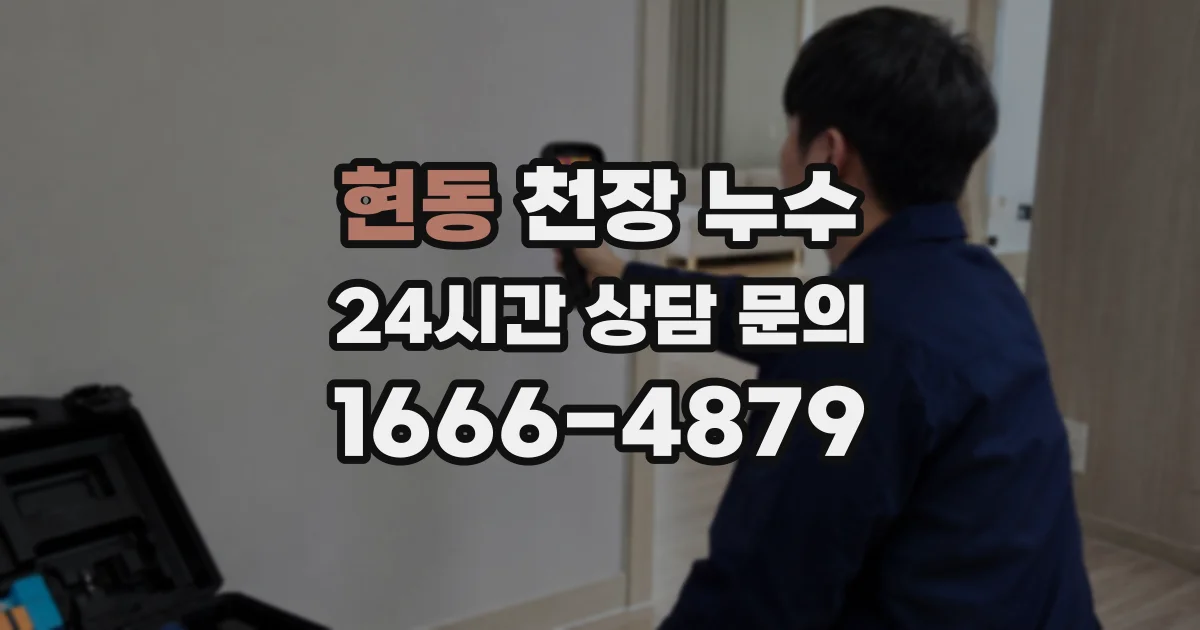 현동 천장 누수
