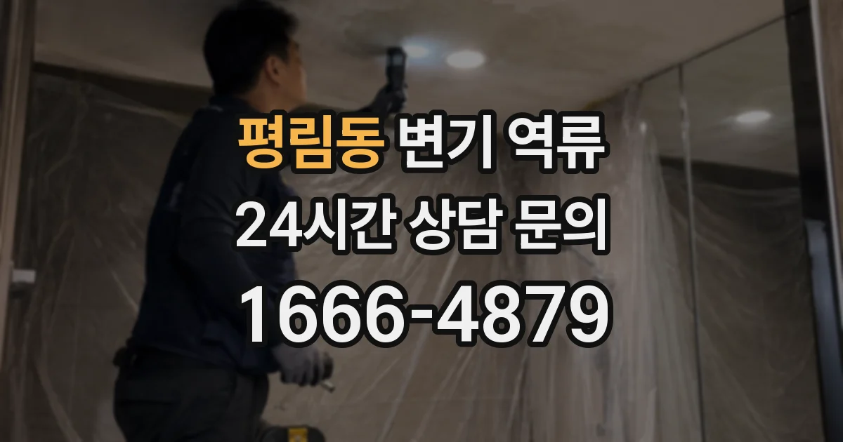 평림동 변기 역류