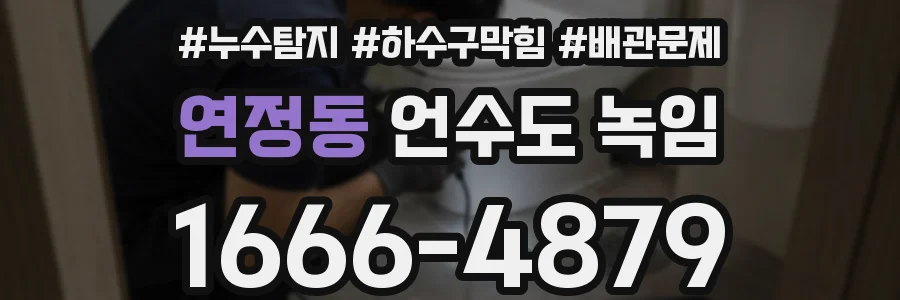 연정동 언수도 녹임