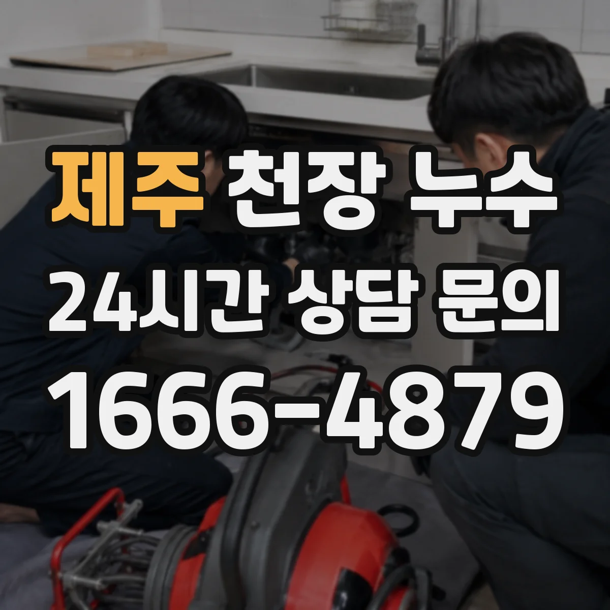 제주 천장 누수 공동주택과 단독건물의 대응 방식이 다른 까닭