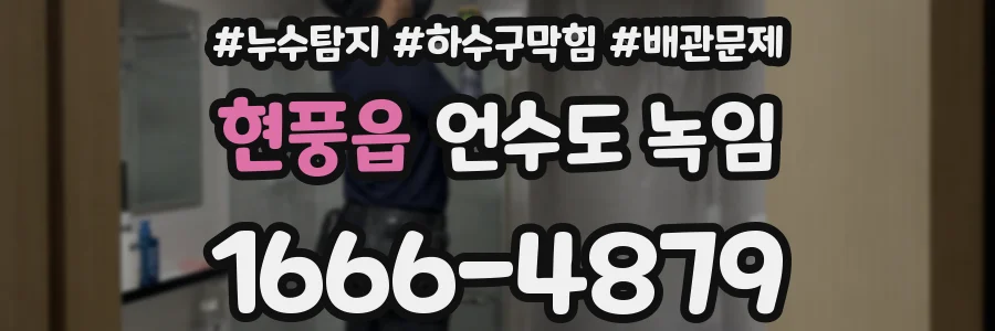 현풍읍 언수도 녹임
