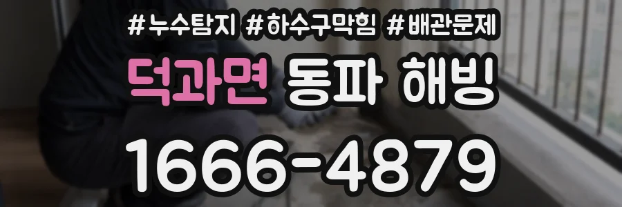 덕과면 동파 해빙