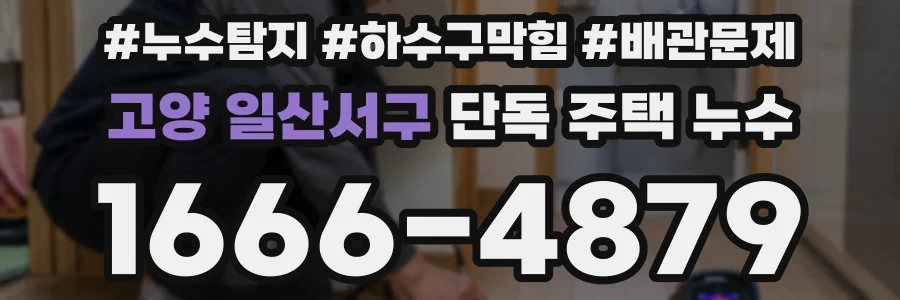 고양 일산서구 단독 주택 누수