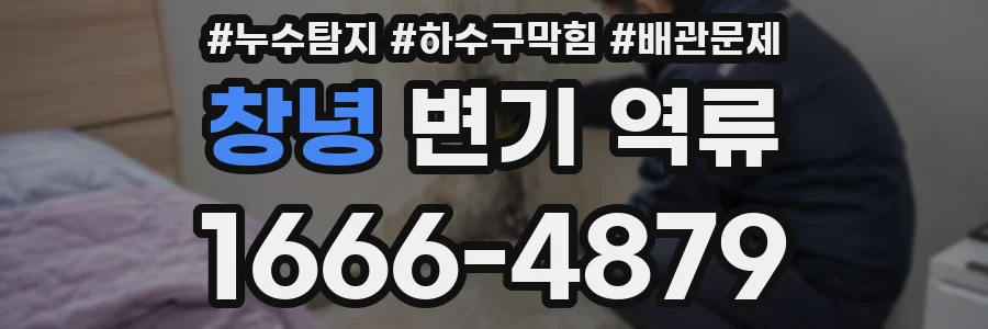 창녕 변기 역류