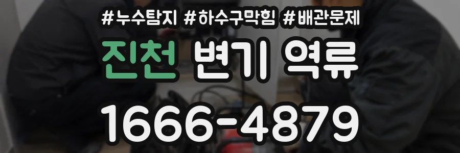 진천 변기 역류