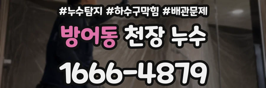 방어동 천장 누수