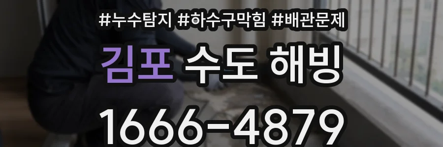 김포 수도 해빙