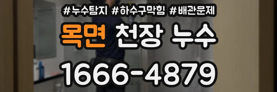 목면 천장 누수