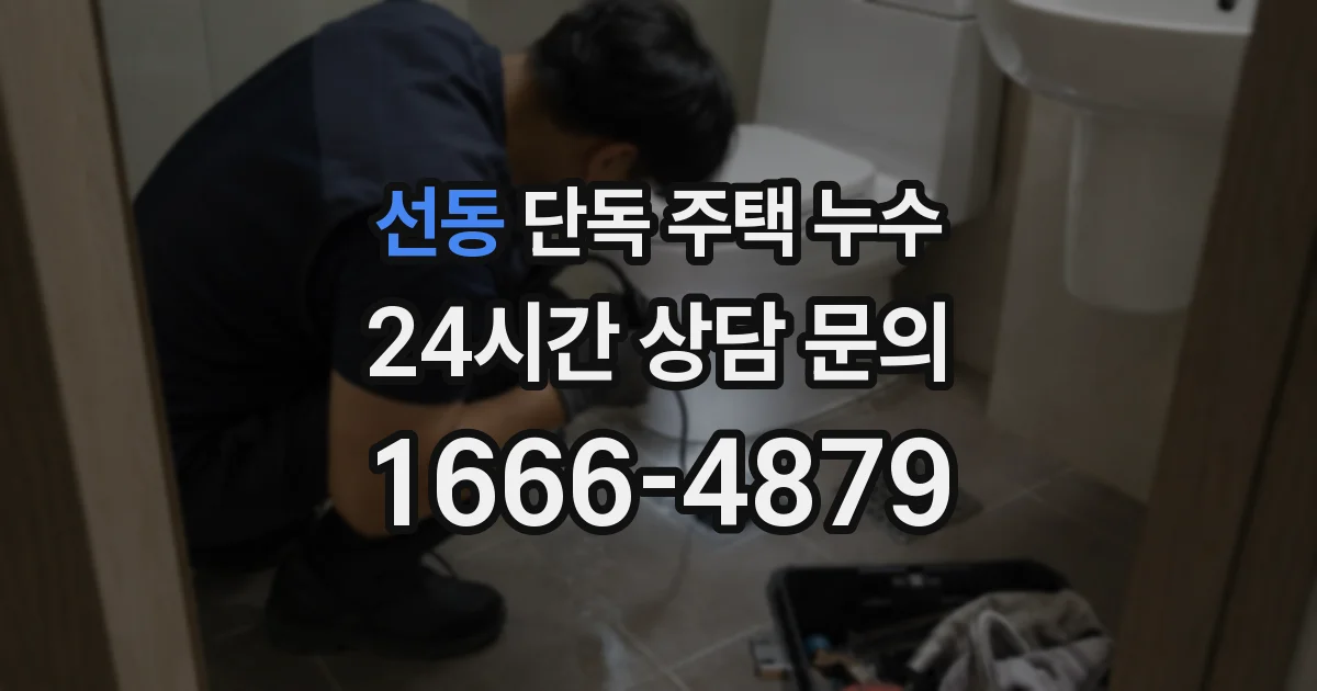 선동 단독 주택 누수