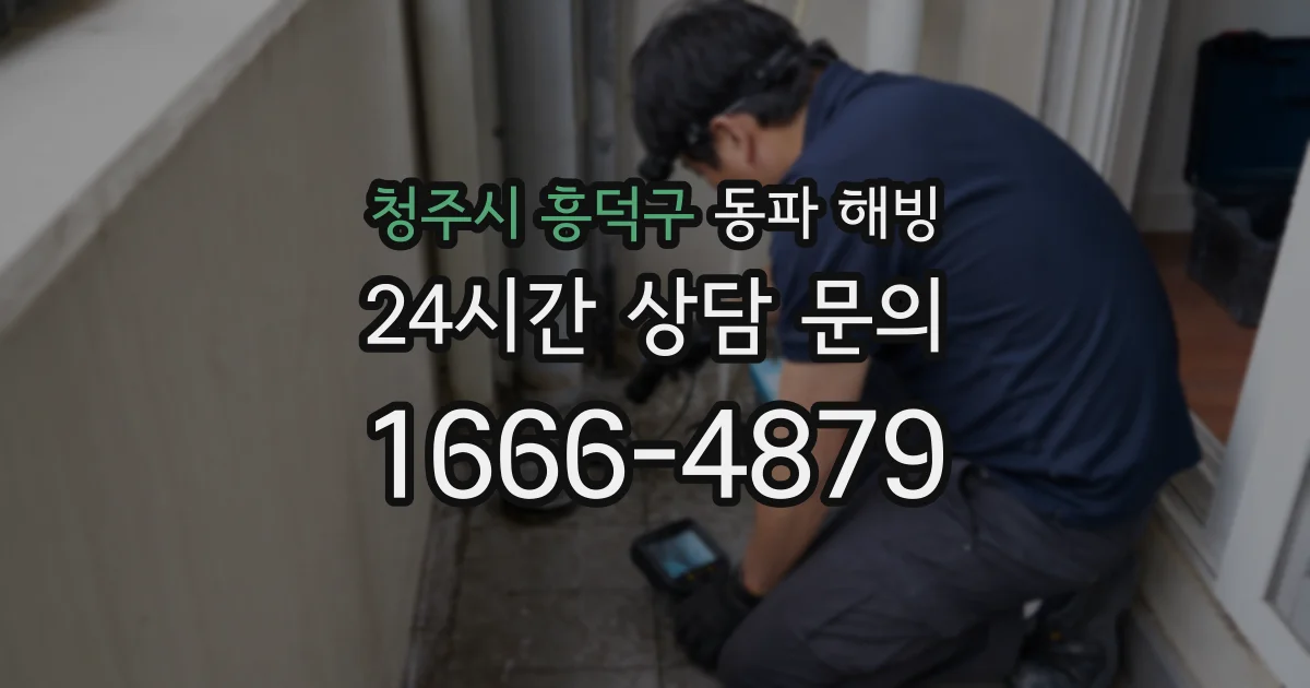 청주시 흥덕구 동파 해빙