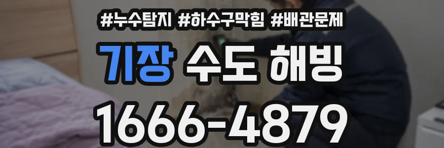 기장 수도 해빙