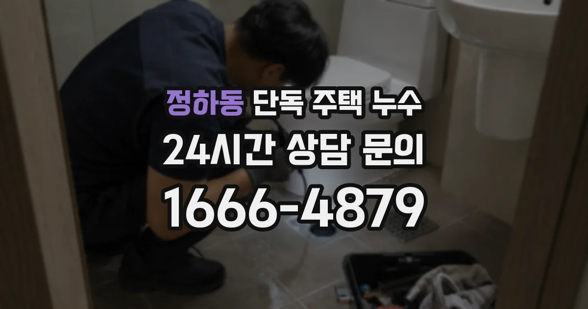 정하동 단독 주택 누수