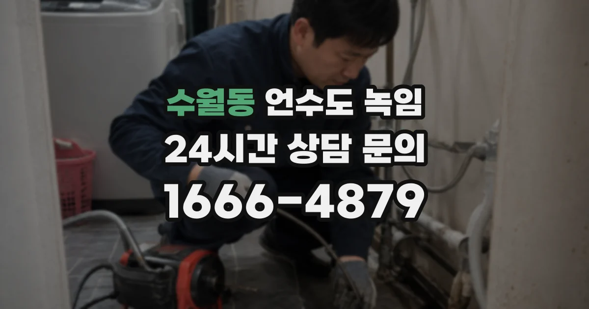 수월동 언수도 녹임