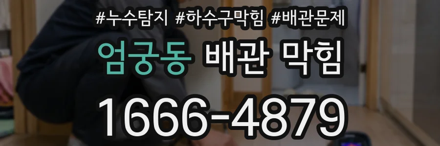 엄궁동 배관 막힘