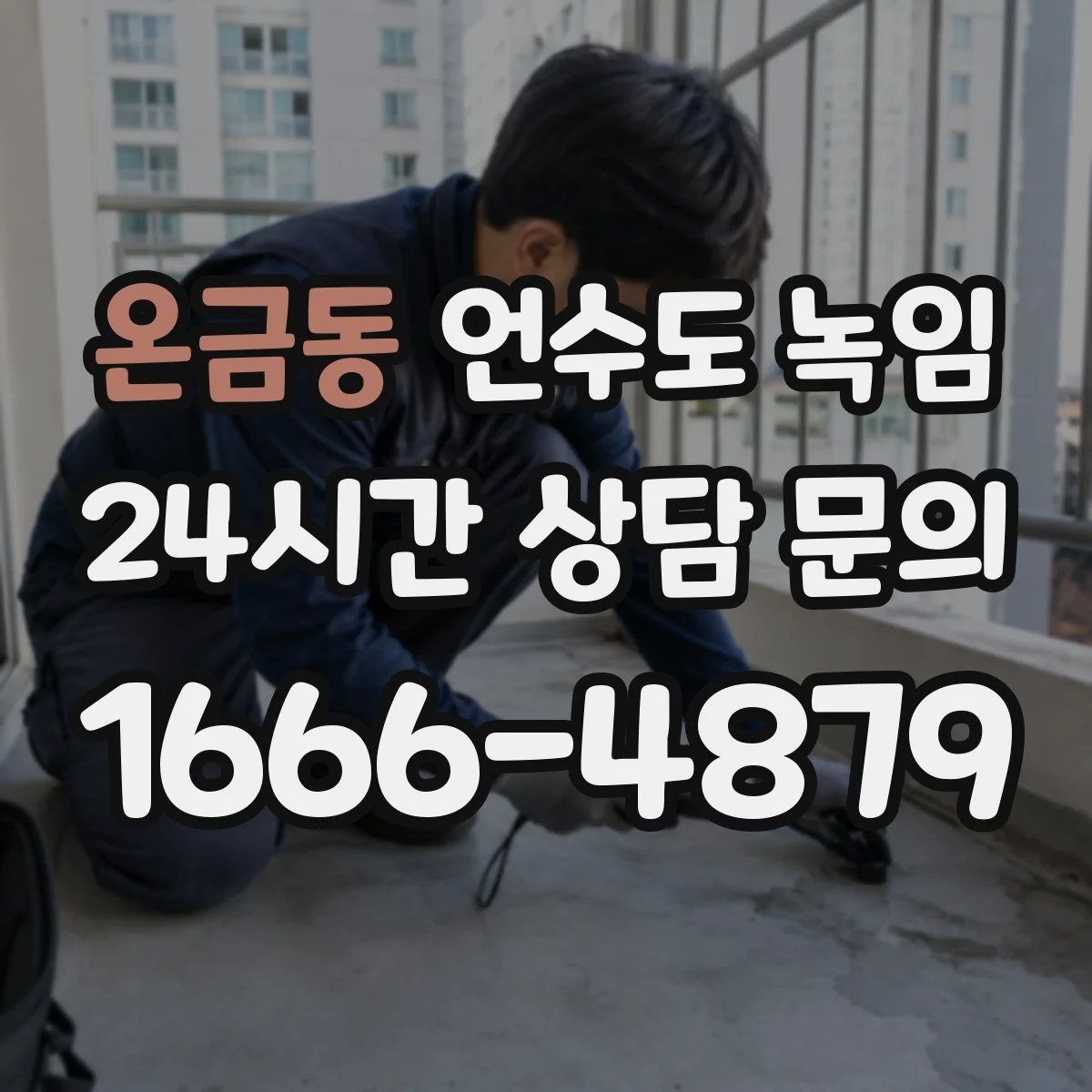 온금동 언수도 녹임