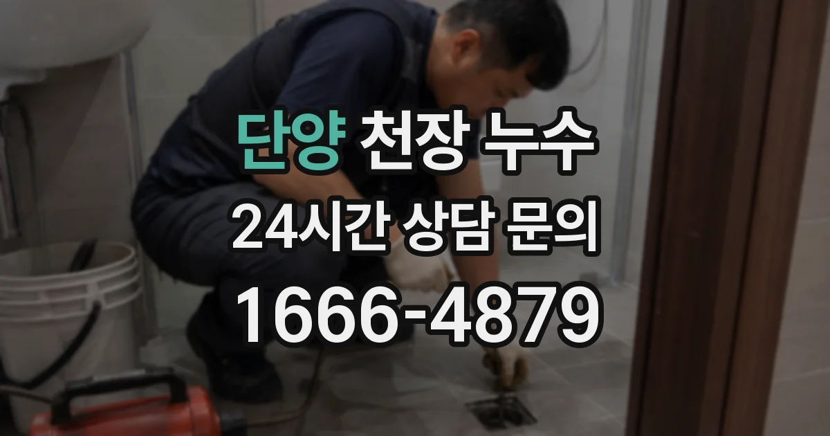 단양 천장 누수