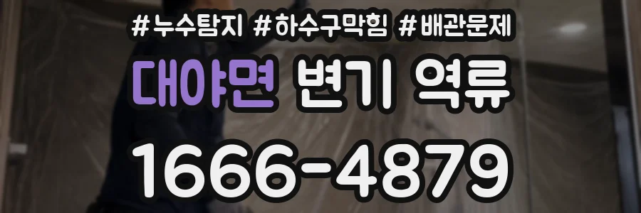 대야면 변기 역류