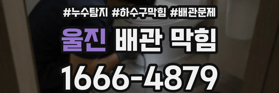 울진 배관 막힘