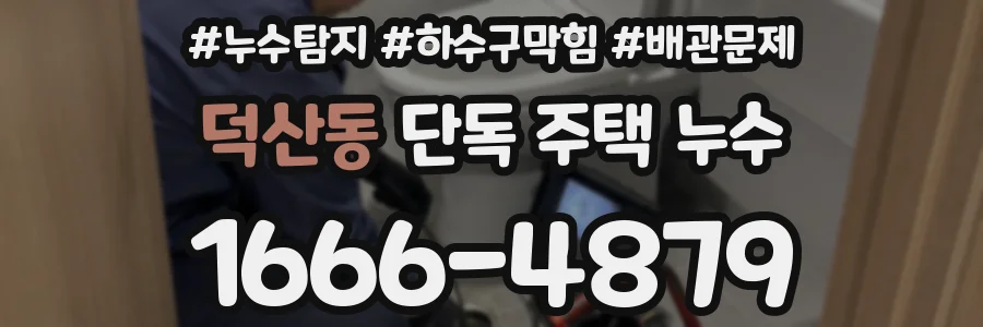 덕산동 단독 주택 누수