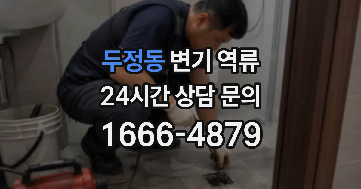 두정동 변기 역류