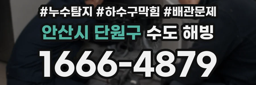 안산시 단원구 수도 해빙