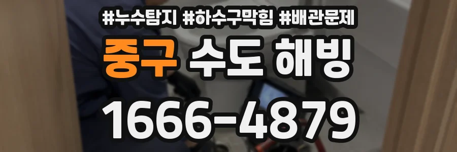 중구 수도 해빙