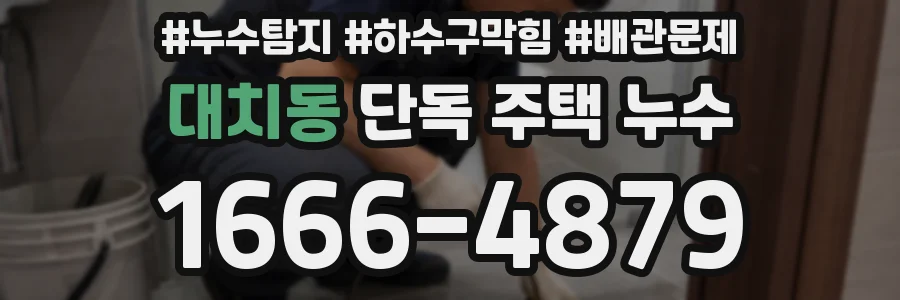 대치동 단독 주택 누수