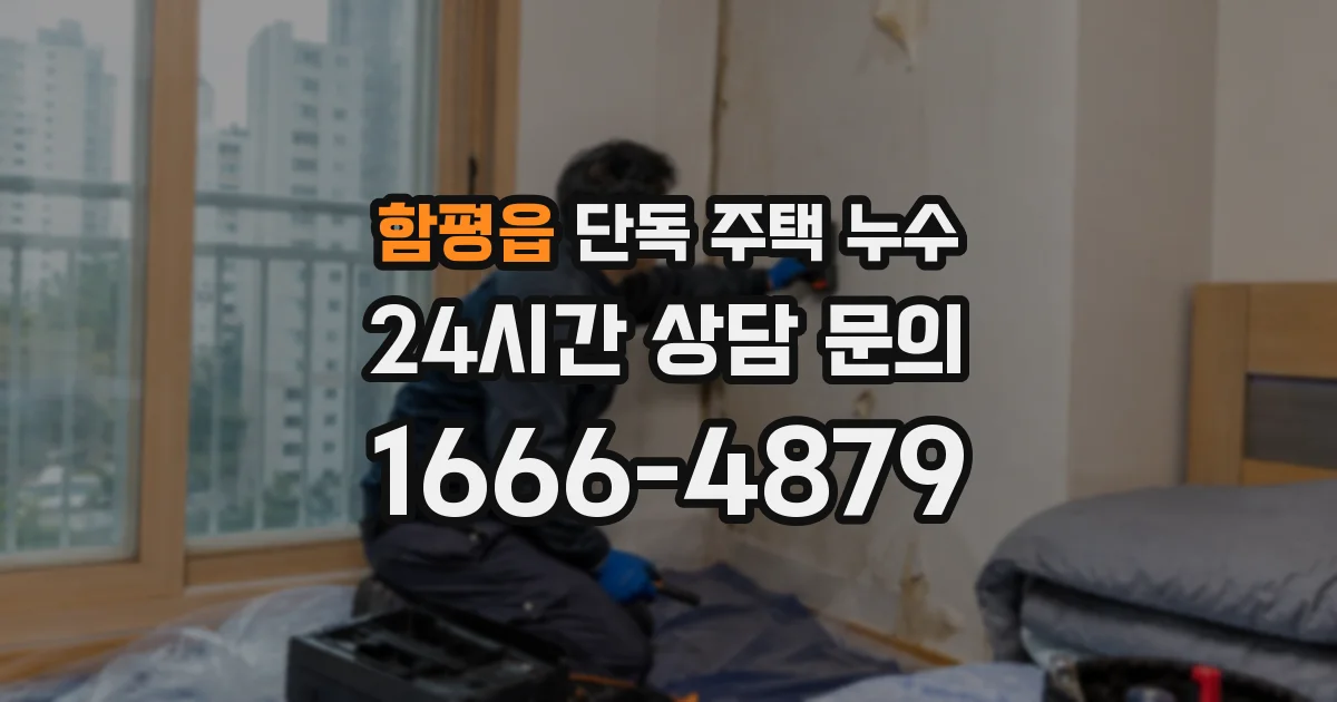 함평읍 단독 주택 누수