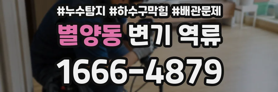 별양동 변기 역류