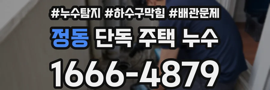 정동 단독 주택 누수