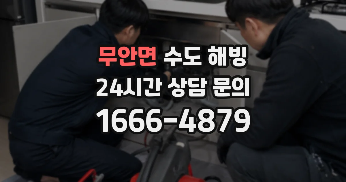 무안면 수도 해빙