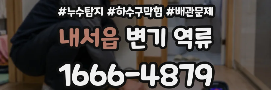 내서읍 변기 역류