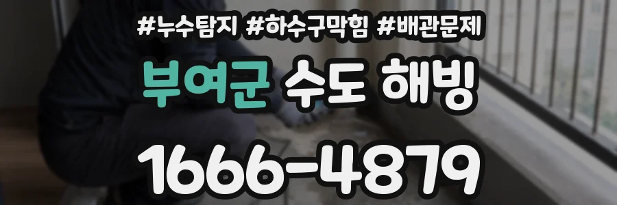 부여군 수도 해빙