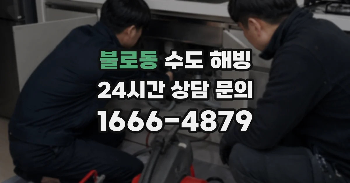 불로동 수도 해빙
