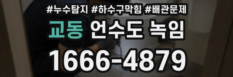 교동 언수도 녹임