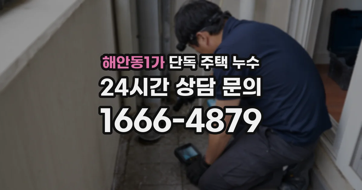 해안동1가 단독 주택 누수