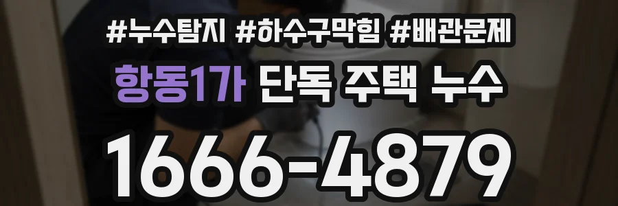 항동1가 단독 주택 누수