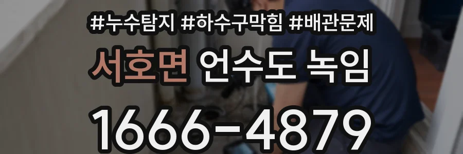 서호면 언수도 녹임