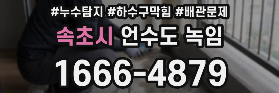 속초시 언수도 녹임