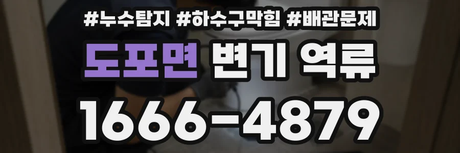 도포면 변기 역류