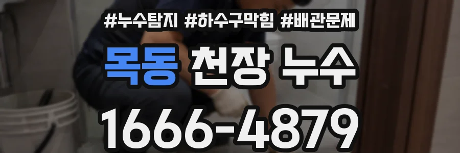 목동 천장 누수