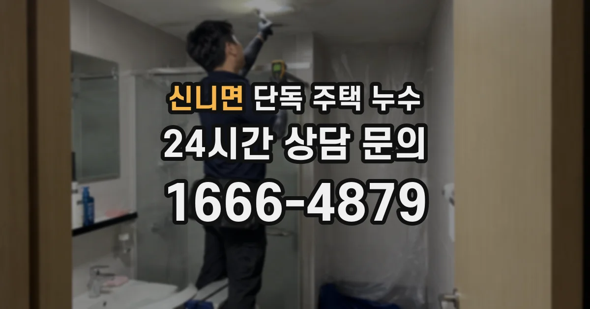 신니면 단독 주택 누수