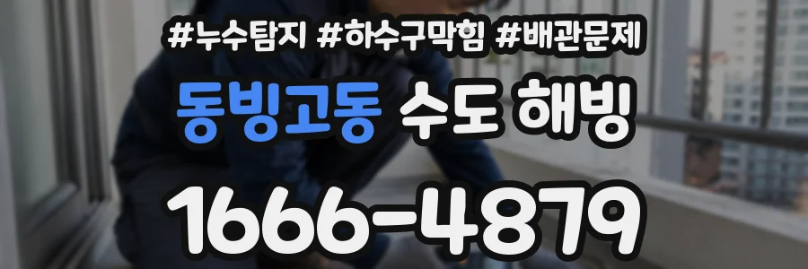 동빙고동 수도 해빙