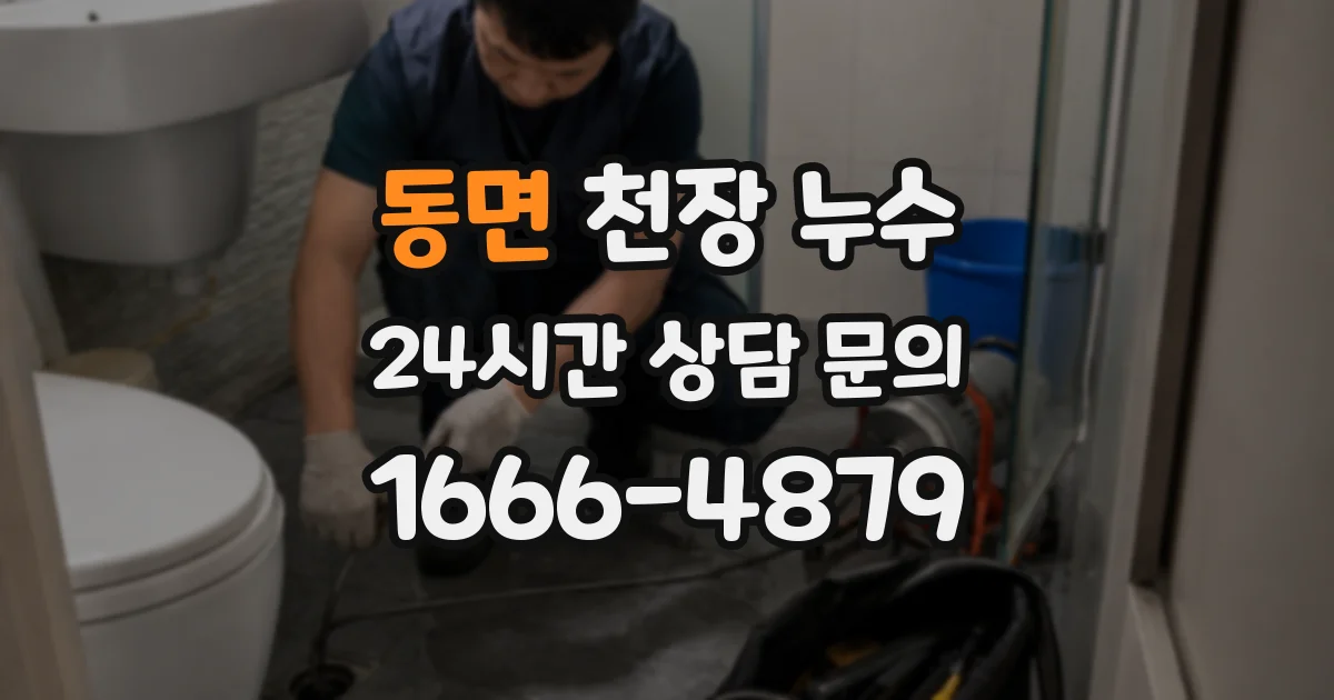 동면 천장 누수