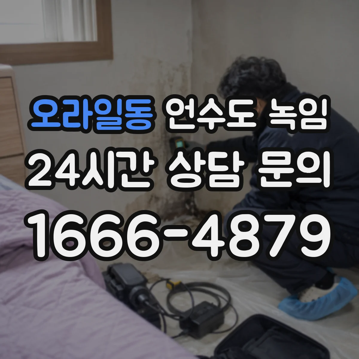 오라일동 언수도 녹임
