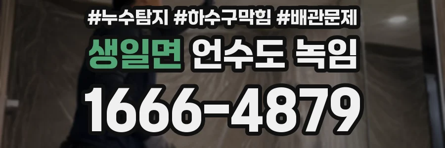 생일면 언수도 녹임