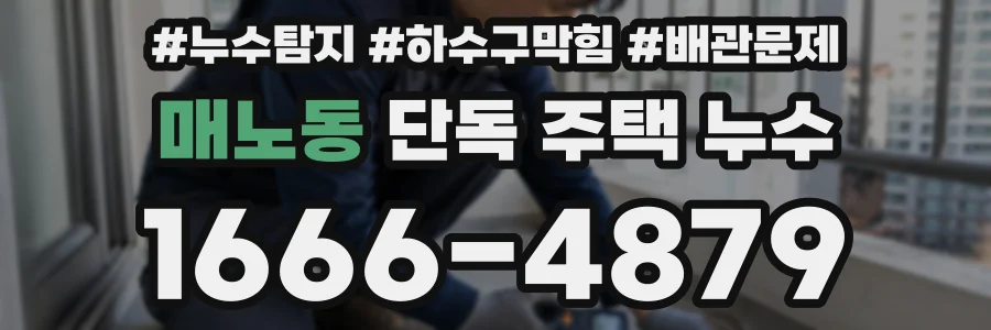매노동 단독 주택 누수