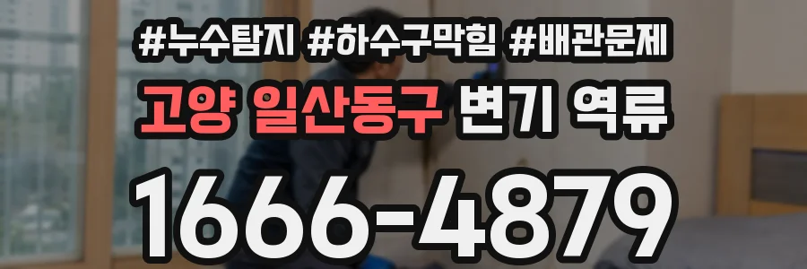 고양 일산동구 변기 역류